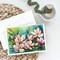 Edge Collections - 5" x 7" - Creative Greeting Cards for All Occasions - 8 Pieces